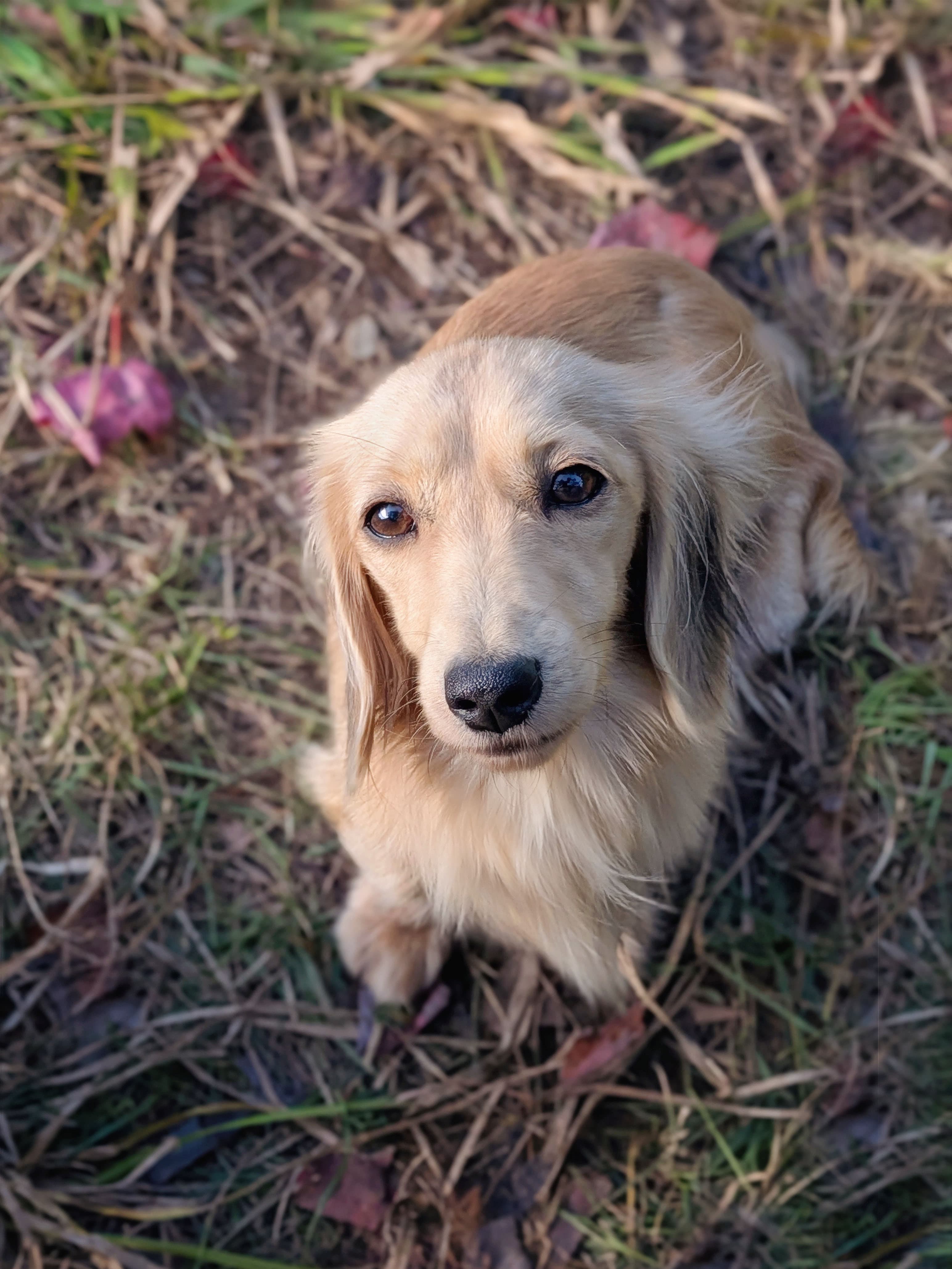 Jenny
